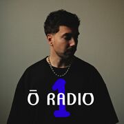 2 pages use this image