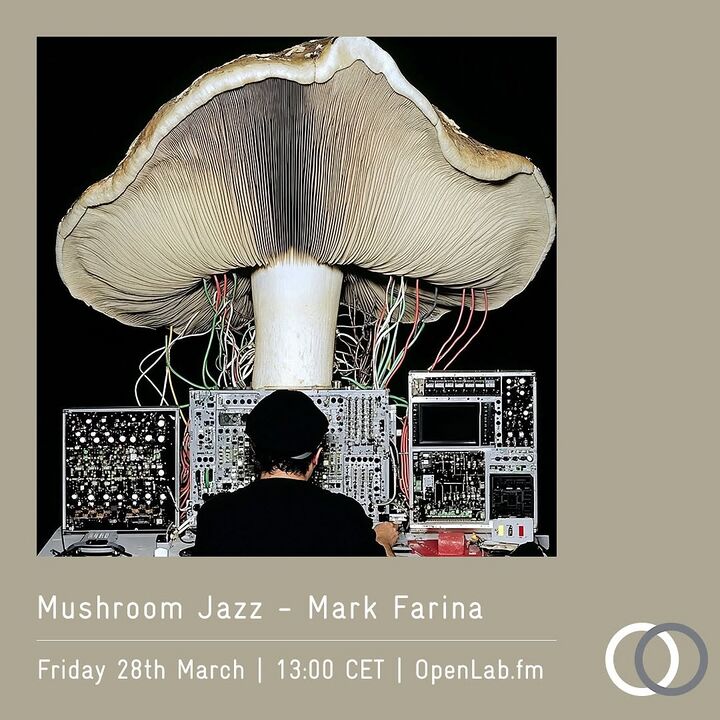 File:2025-03-28 - Mark Farina - Mushroom Jazz 23.jpg