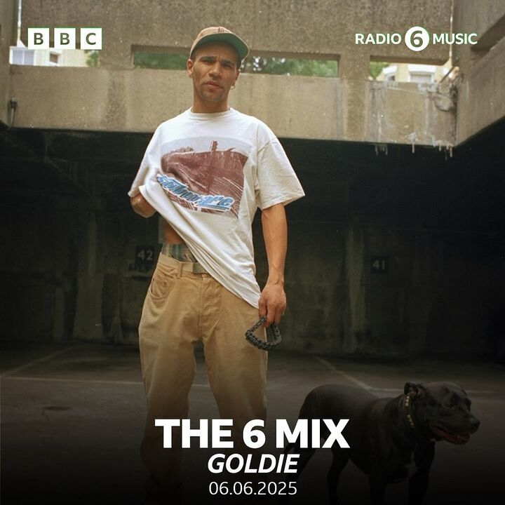 File:2025-06-06 - Goldie - 6 Mix - 2.jpg