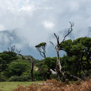 2025-06-11 - Dual Monitor - Sure Thing Mix 143.jpg