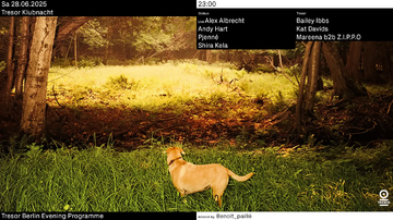2025-06-28 - Klubnacht, Tresor.webp