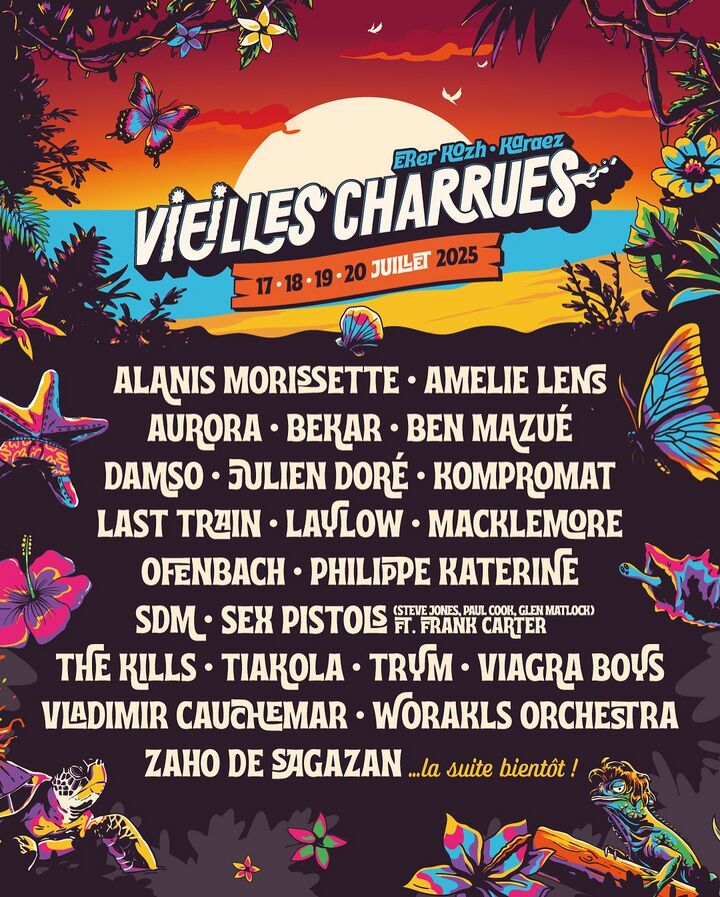 File:2025-07-1X - Les Vieilles Charrues.jpg