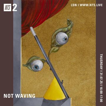 2025-07-31 - Not Waving - NTS Radio.jpg