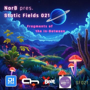2025-08-28 - NorB - Static Fields 021 (Fragments Of The In-Between).jpg