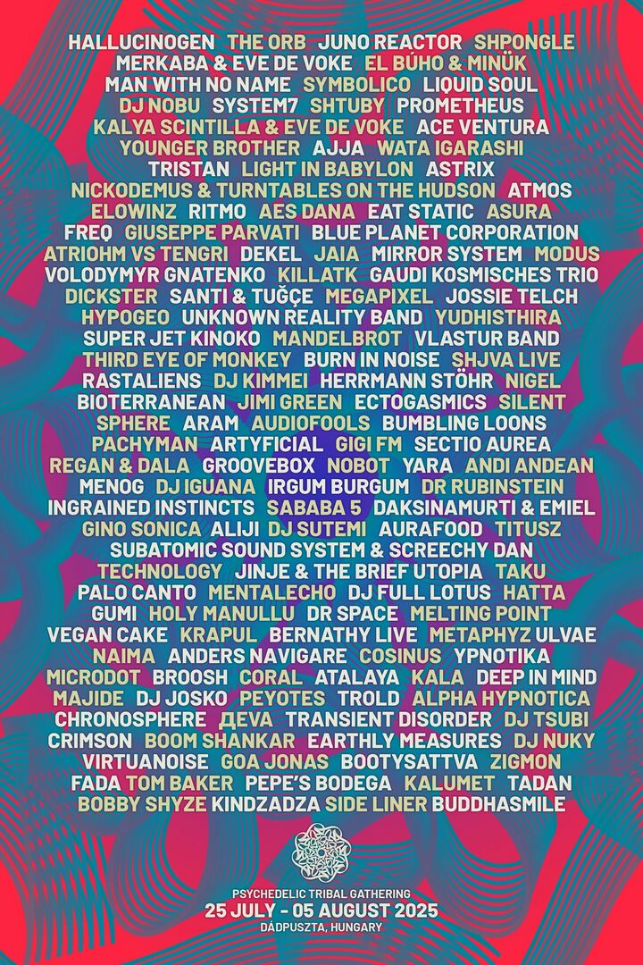 File:2025-0X - OZORA Festival.jpg