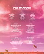 2025-08-29 - VA @ I Am You - Pink Mammoth, Burning Man