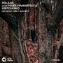 Thumbnail for File:2025-10-26 - Peder Mannerfelt, Kiritchenko - POLAAR, Rinse FM France.jpg
