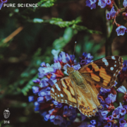 2025-12-10 - Pure Science - Melbourne Deepcast 316