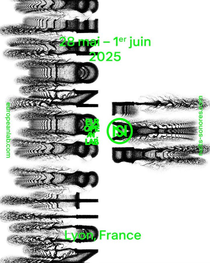 File:2025 - Nuits Sonores, Lyon.jpg