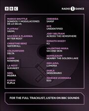 2026-03-21 - Voices From The Lake - Essential Mix TL 1.jpg