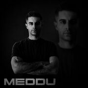 2026-07-02 - MEDDU - Alchemical Minds Session 082.jpg