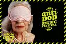 Anti-Pop Music Festival 2007.jpg