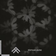 2018-05-31 - Yotam Avni - Form and Function Podcast 005