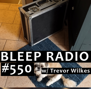 Bleep Radio e550s.png
