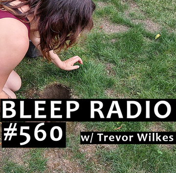 Bleep Radio e560s.png