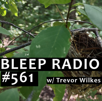 Bleep Radio e561s.png