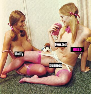Fluffy Twisted Disco Bunnies artwork.jpg