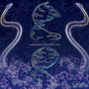 2020-09-30 - GiGi FM - Inner Mycelia Voyage: Full Hunters …