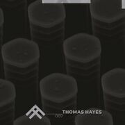 2018-06-28 - Thomas Hayes - Form and Function Podcast 007