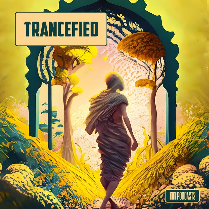 File:Trancefied - Logo - Main.jpg