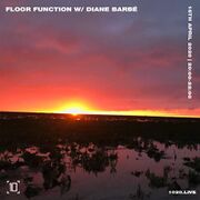 2020-04-16 - Diane Barbé - Floor Function, 1020 Radio