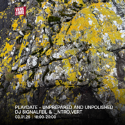 2026-01-03 - DJ Signalfeil b2b intro.vert @ Playdate, Vers …